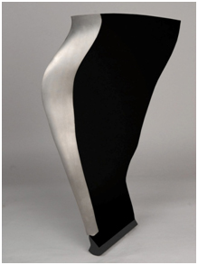 Composite Engine Fan Blade